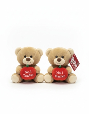 No1 Teacher Teddy