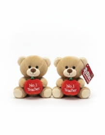 No1 Teacher Teddy