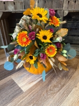 Pumpkin Arrangment
